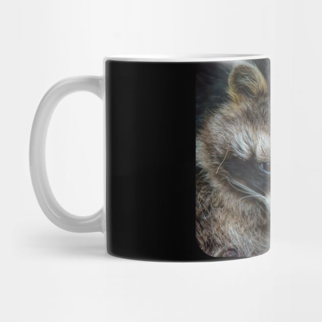 Raccoon by ElviraDraat